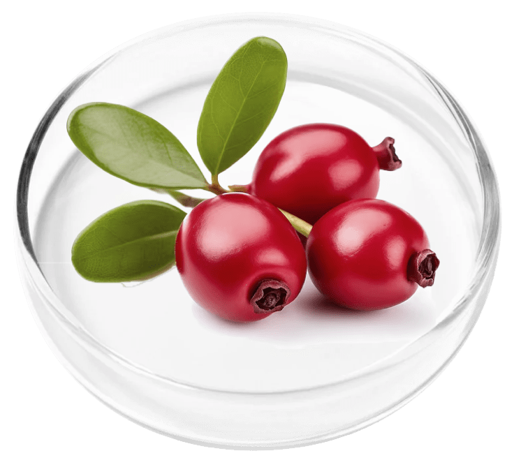 FemiPro is made of Bearberry