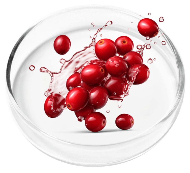 FemiPro is made of Cranberry Extract