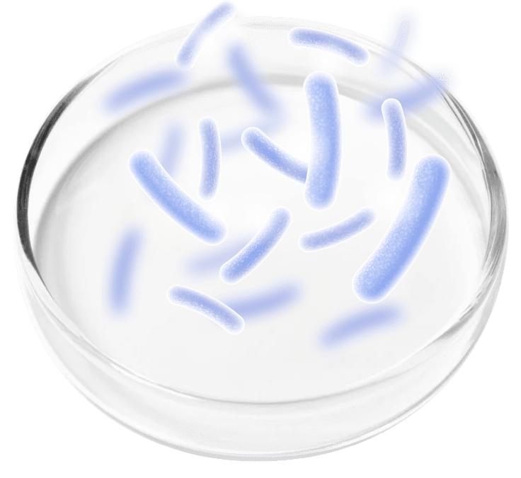 FemiPro is made of Probiotic Blend